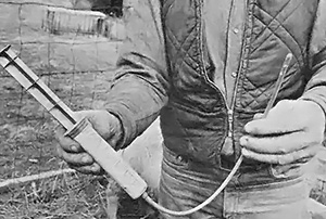 A 60cc syringe and rubber catheter are handy for feeding starving newborns